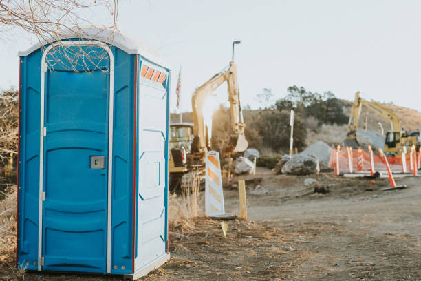 Best Affordable portable toilet rental  in Allegan, MI